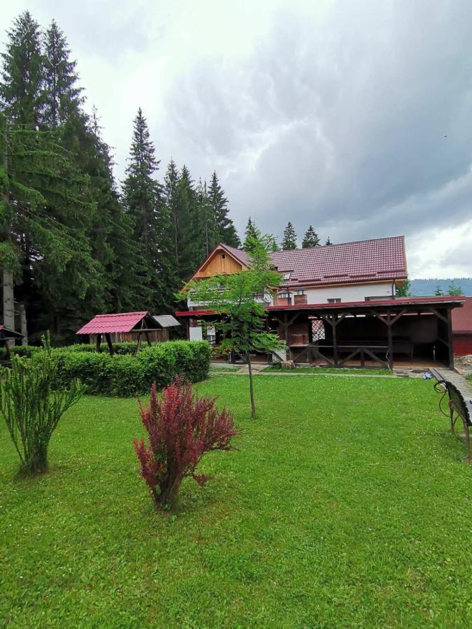 Pensiunea Lu' Movila Дурау Екстер'єр фото